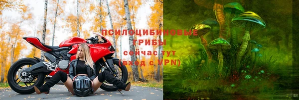 твердый Балахна