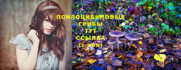 гашишное масло Липки