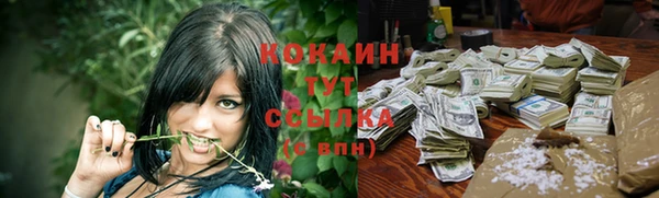 твердый Балахна