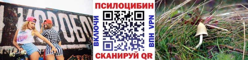 Галлюциногенные грибы Cubensis Белокуриха